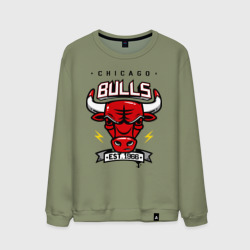 Мужской свитшот хлопок Chicago bulls swag