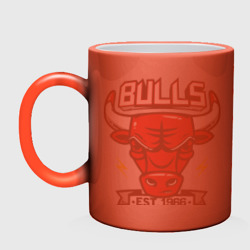 Кружка хамелеон Chicago bulls swag - фото 2