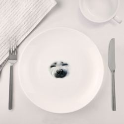 Набор: тарелка + кружка Пушистый носик морского котика или Байкальская нерпы - фото 2