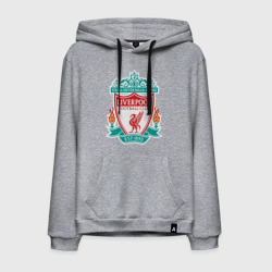 Мужская толстовка хлопок Liverpool logo