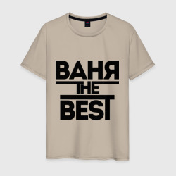 Мужская футболка хлопок Ваня the best