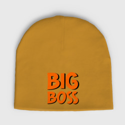 Мужская шапка демисезонная Big Boss
