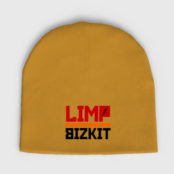 Мужская шапка демисезонная Limp Bizkit 2