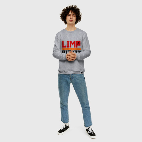 Мужской свитшот хлопок Limp Bizkit 2, цвет меланж - фото 5