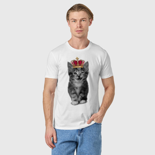 Мужская футболка хлопок с принтом Meow kitten, фото на моделе #1