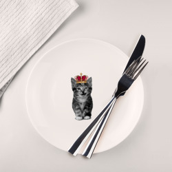 Тарелка Meow kitten