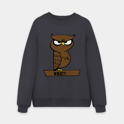 Мужской свитшот oversize без начеса хлопок What?