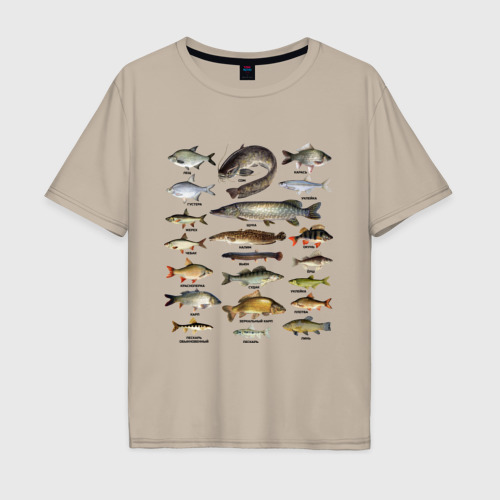 Мужская футболка хлопок Oversize Популярные виды рыб, цвет миндальный