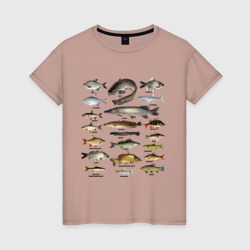 Женская футболка хлопок Популярные виды рыб