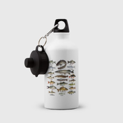 Бутылка спортивная Популярные виды рыб - фото 2