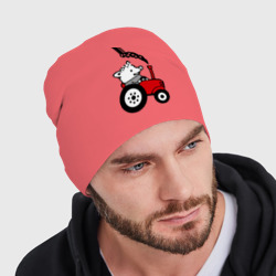 Мужская шапка демисезонная Поросенок Петр - фото 2