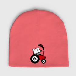 Мужская шапка демисезонная Поросенок Петр