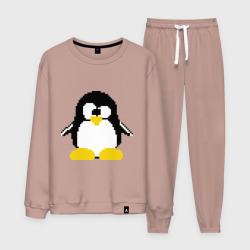 Мужской костюм хлопок Битовый пингвин Linux