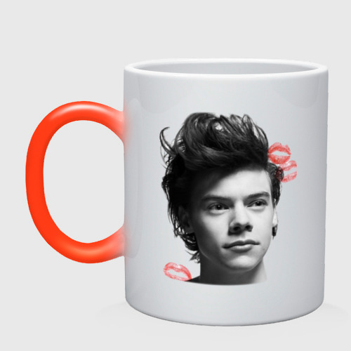 Кружка хамелеон Harry Styles