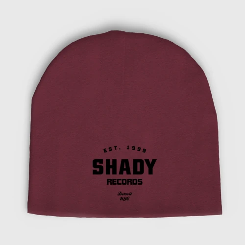Мужская шапка демисезонная Shady records