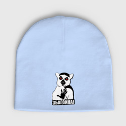 Мужская шапка демисезонная Збагойна