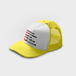Кепка тракер с сеткой Комплименты Дима - фото 2
