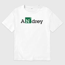 Женская футболка хлопок Oversize Andrey