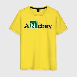 Мужская футболка хлопок Andrey
