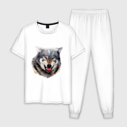 Мужская пижама хлопок Волк