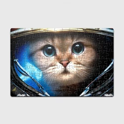 StarCraft Marine Cat (p)