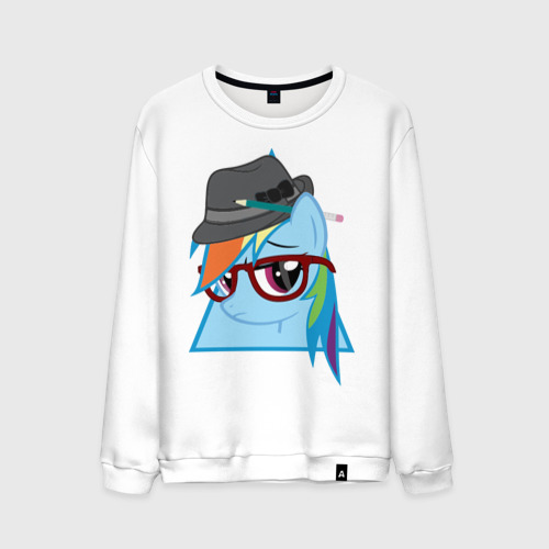 Мужской свитшот хлопок Rainbow Dash hipster