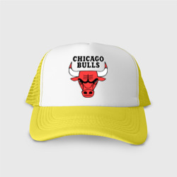 Кепка тракер с сеткой Chicago Bulls