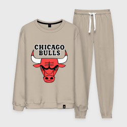 Мужской костюм хлопок Chicago Bulls