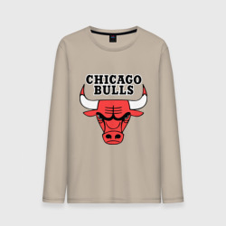 Мужской лонгслив хлопок Chicago Bulls