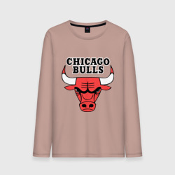 Мужской лонгслив хлопок Chicago Bulls