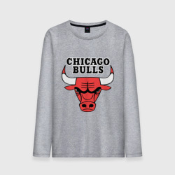 Мужской лонгслив хлопок Chicago Bulls