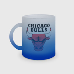 Кружка матовая стеклянная Chicago Bulls