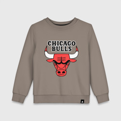 Детский свитшот хлопок Chicago Bulls