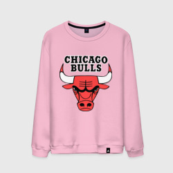 Мужской свитшот хлопок Chicago Bulls