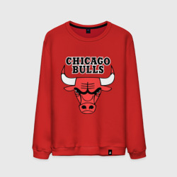 Мужской свитшот хлопок Chicago Bulls