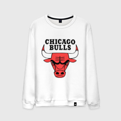 Мужской свитшот хлопок Chicago Bulls