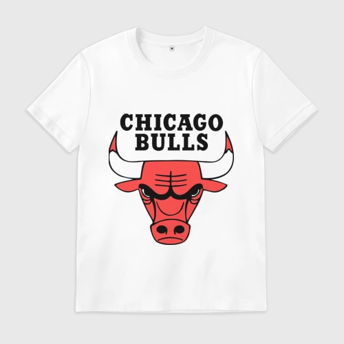 Мужская футболка хлопок Chicago Bulls