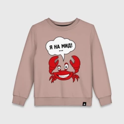 Детский свитшот хлопок Dota - Иду на мид