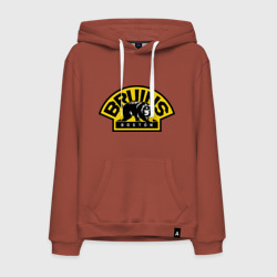 Мужская толстовка хлопок HC Boston Bruins Label