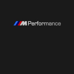 Мужской свитшот хлопок BMW Performance - фото 2