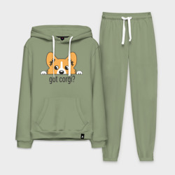 Мужской костюм хлопок с толстовкой Got Corgi