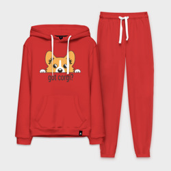 Мужской костюм хлопок с толстовкой Got Corgi