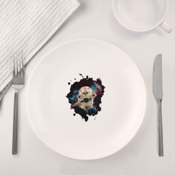 Набор: тарелка + кружка Космокот - фото 2