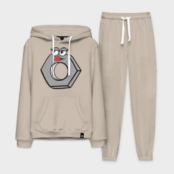 Мужской костюм хлопок с толстовкой Гайка