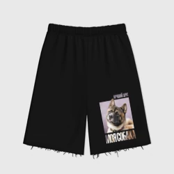 Женские шорты oversize футер хлопок Акита ину - моя собака