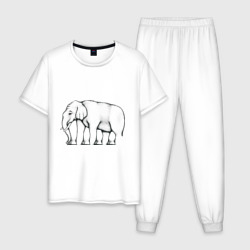 Мужская пижама хлопок Сколько ног у слона
