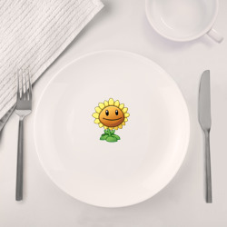 Набор: тарелка + кружка Plants Vs Zombies - фото 2