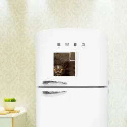 Чеширский кот