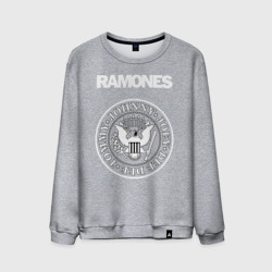 Мужской свитшот хлопок Ramones