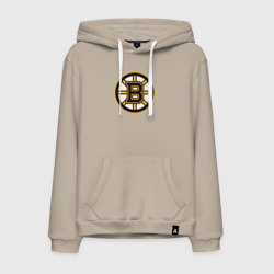 Мужская толстовка хлопок Boston Bruins